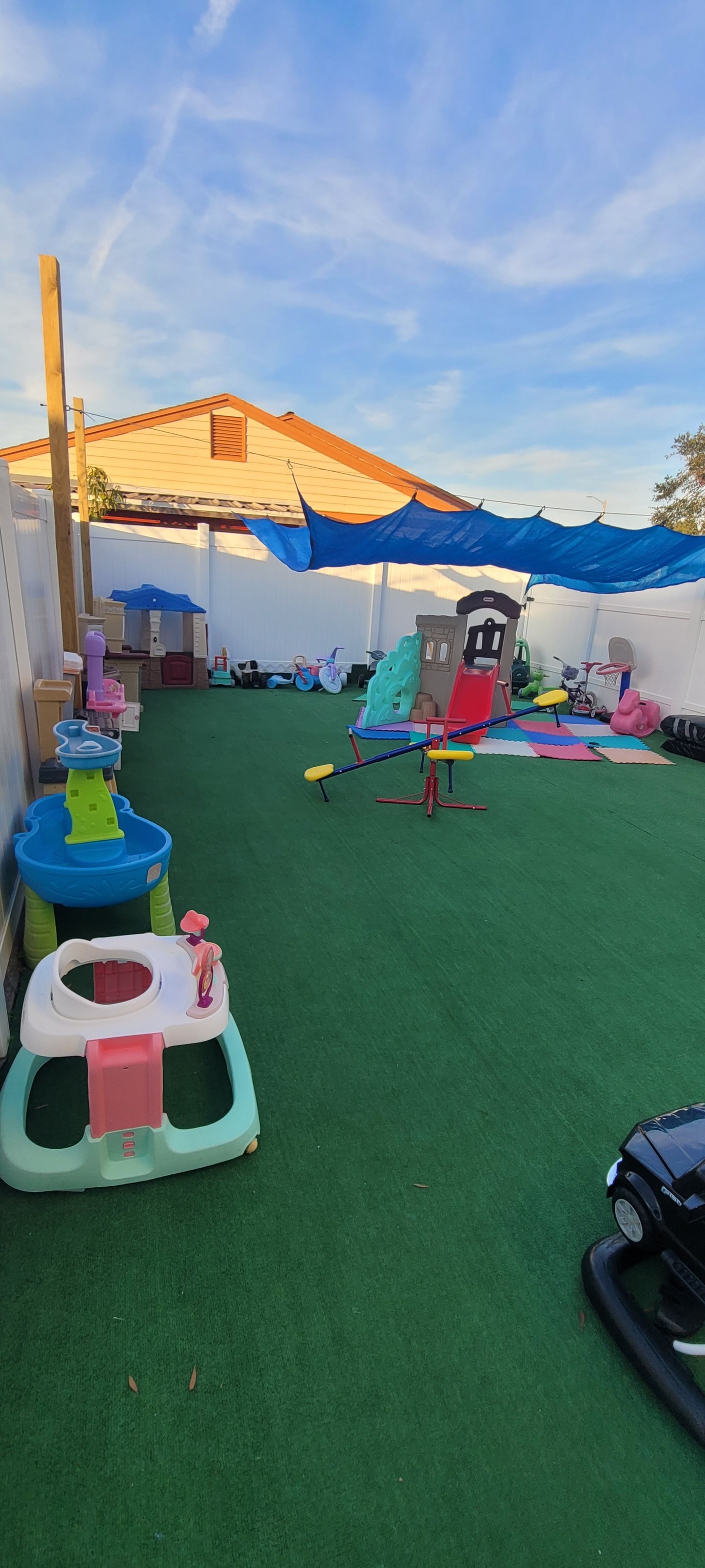 Backyard
